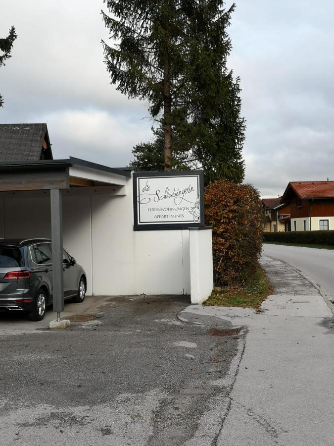 Apartment Schladmingerin