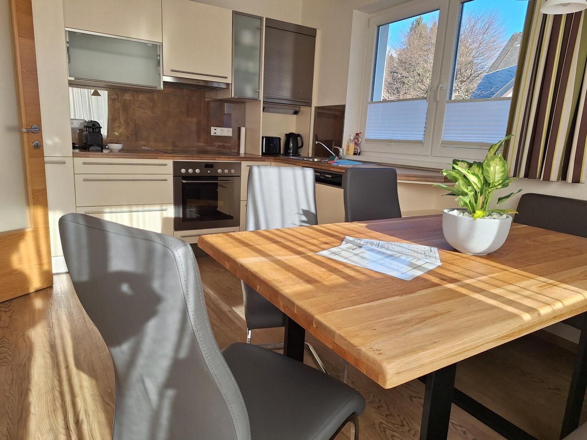 Apartment Schladmingerin *